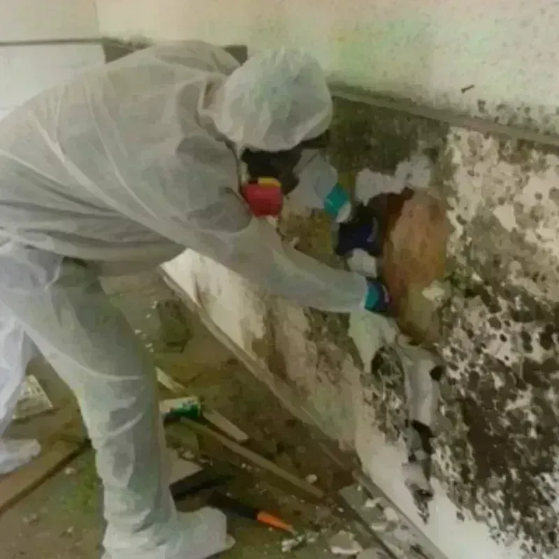 Mold Remediation and Removal in Eveleth, MN